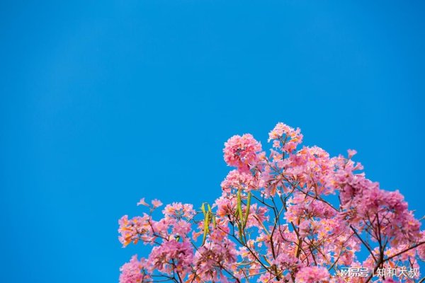 大资本配资 再有钱，也不建议往家里带这三样东西，不是迷信